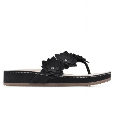 Women's Hot Spot Thong Comfort Sandal Black $27.60 Shoes